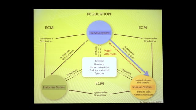 Interference Fields Revisited: Neural Therapy in the Crossroads of Neurological, Immune and Endocrine Systems