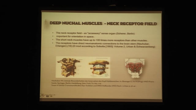 Effects and Treatment of the Interference Field with Neural Therapy and Manual Therapy
