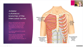 Protocols to Prevent and Treat Covid 19