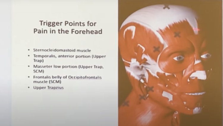 Igor Ostrovsky, MD, PhD’s talk on Headaches: Neural Therapy and Homeopathy